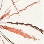 Tail Feather